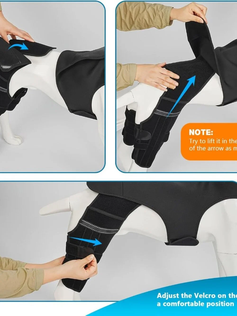 Dog Knee Brace for Torn Acl Hind Leg, 4 Stabilizers